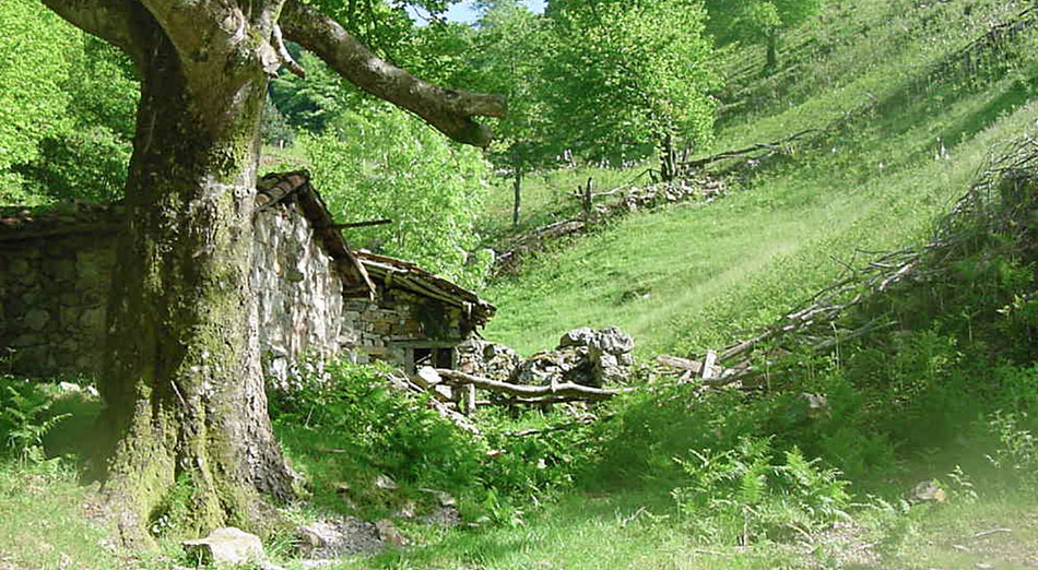 Venta de cabaña en Laviana, Asturias