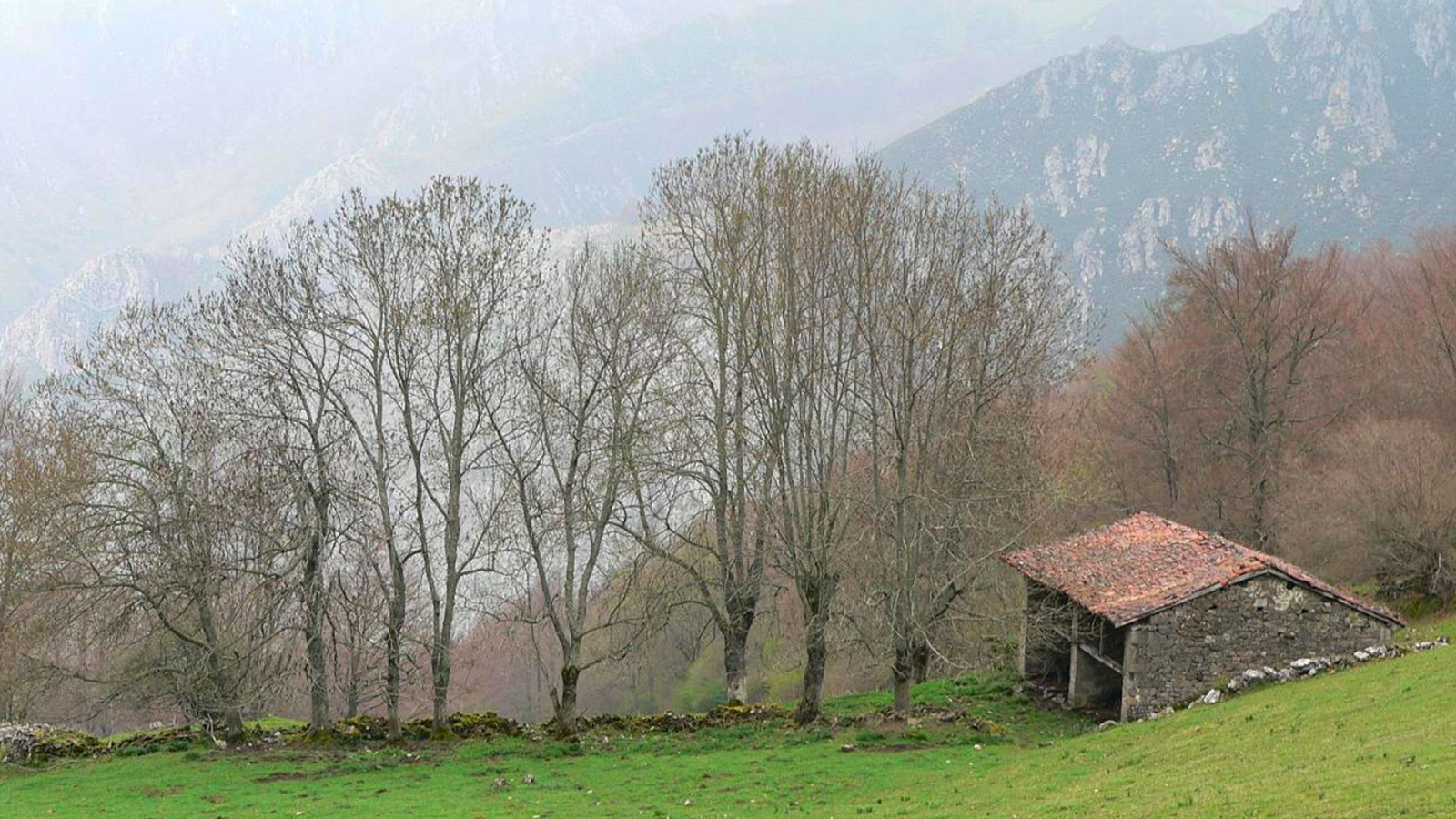 Venta de cabaña con finca y agua de manantial en Caso, Parque natural de redes, asturias