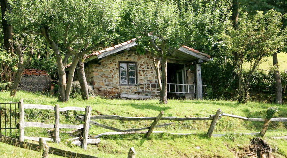 Venta de cabaña con finca y agua de manantial en Laviana, asturias