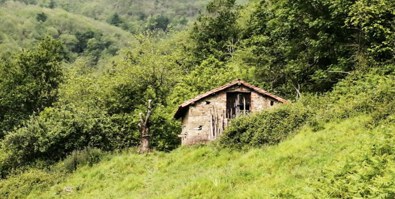 Cabaña de piedra y terreno junto a Pola de Laviana