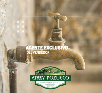 AGENTE-DEL-COMPRADOR Asturias Inmobiliaria Erssy Pozueco