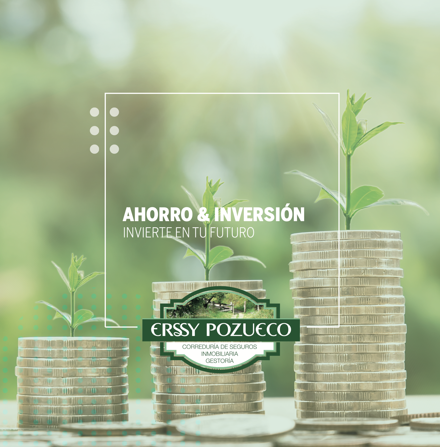 Guía Ahorro & Inversión Erssy Pozueco